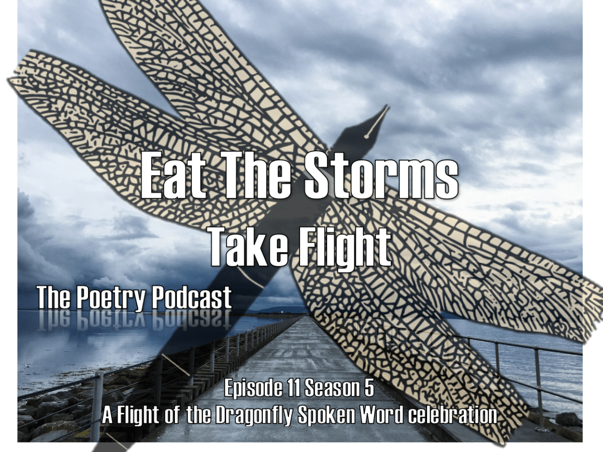 Eat the Storms – TAKE Flight – The Podcast Podcast – Episode 11 – Season&nbsp;5